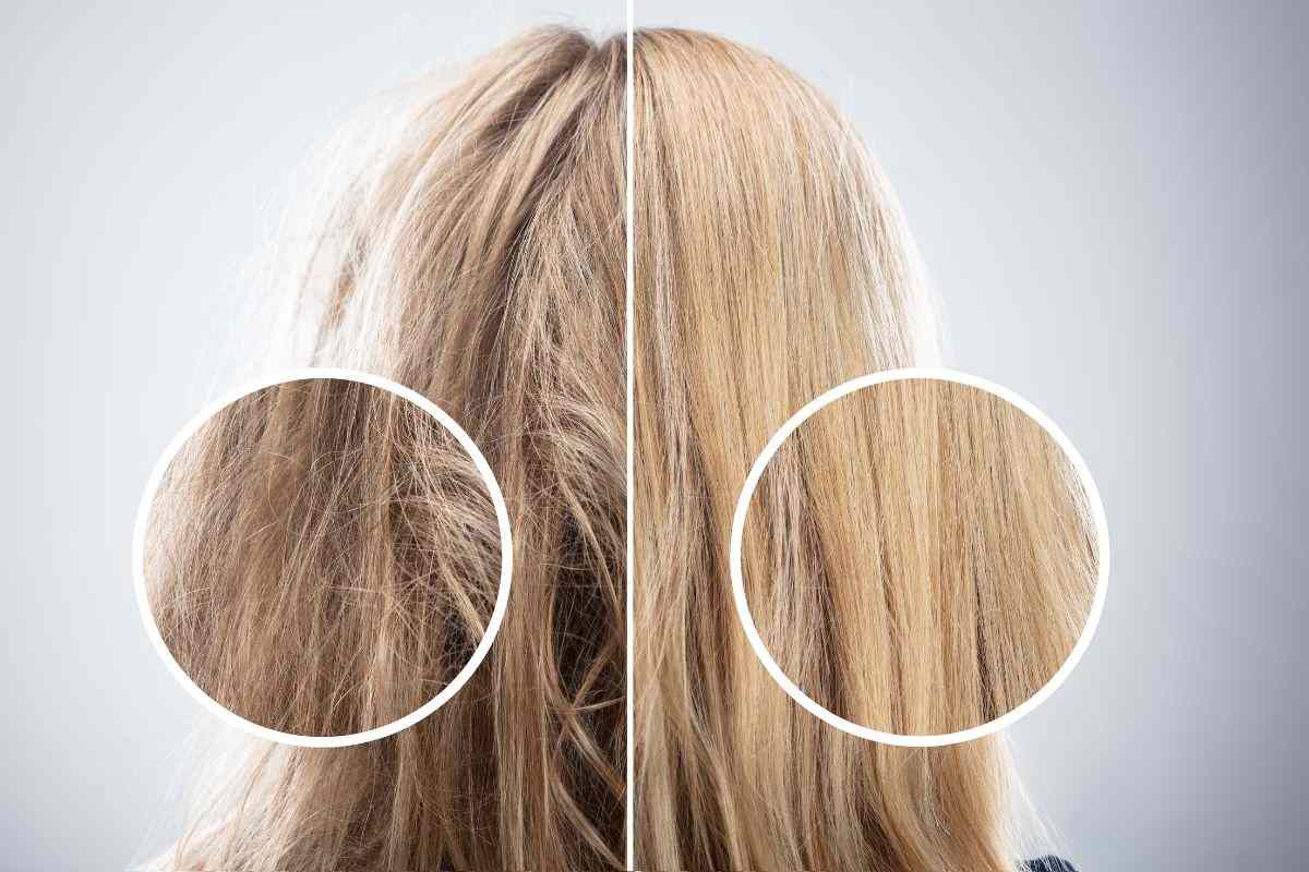 a confronto capelli secchi e capelli normali